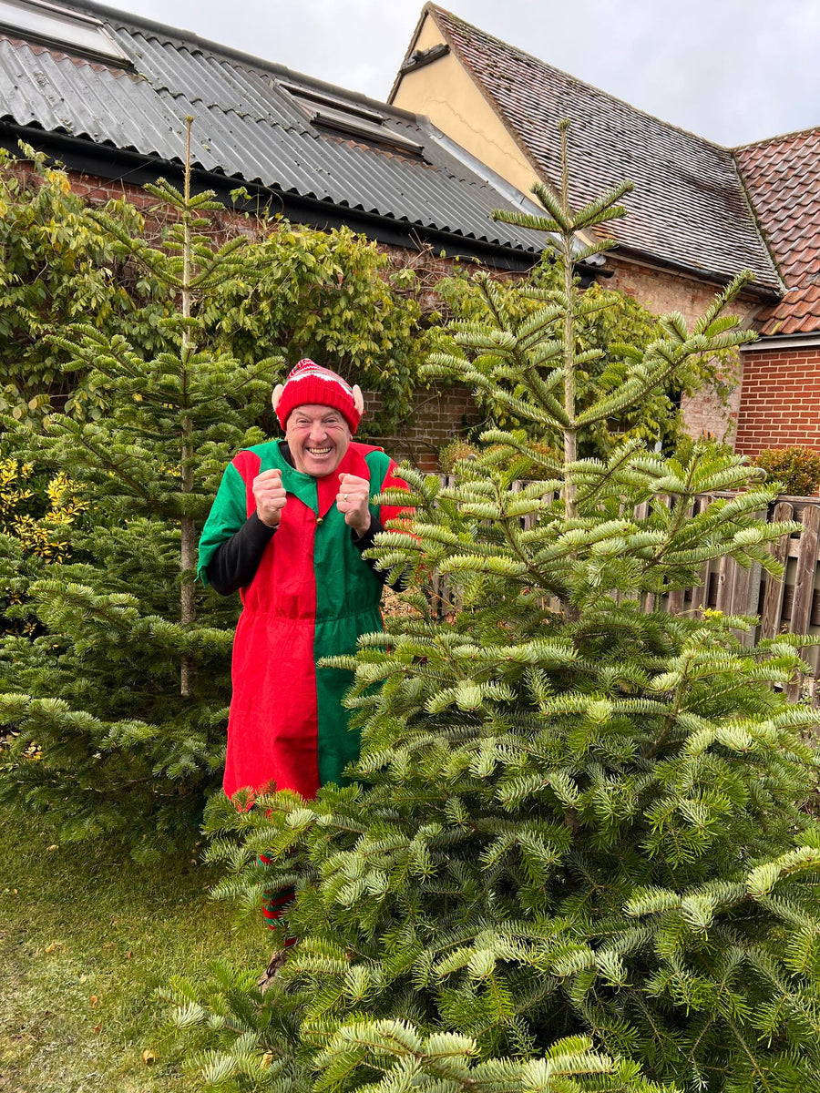 Christmas Trees straight from the Tiptree farm! Tiptree Tea Rooms