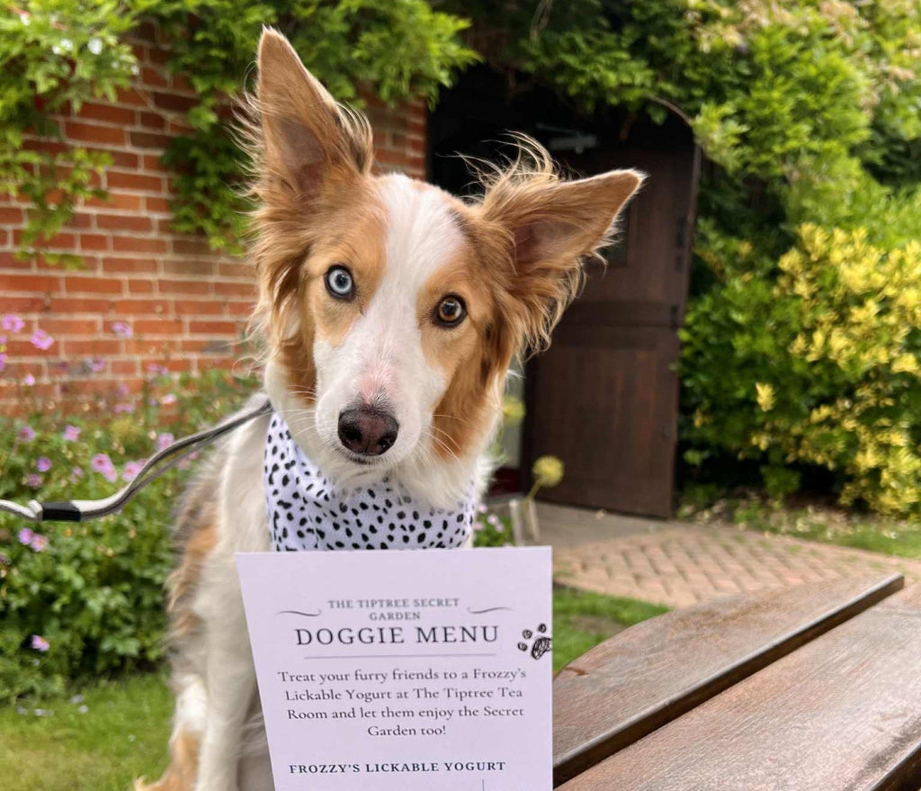 Celebrating International Dog Day at Tiptree Tea Rooms