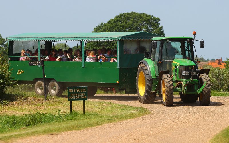 Public Farm Tours at the Tiptree Tea Room and Visitor Centre